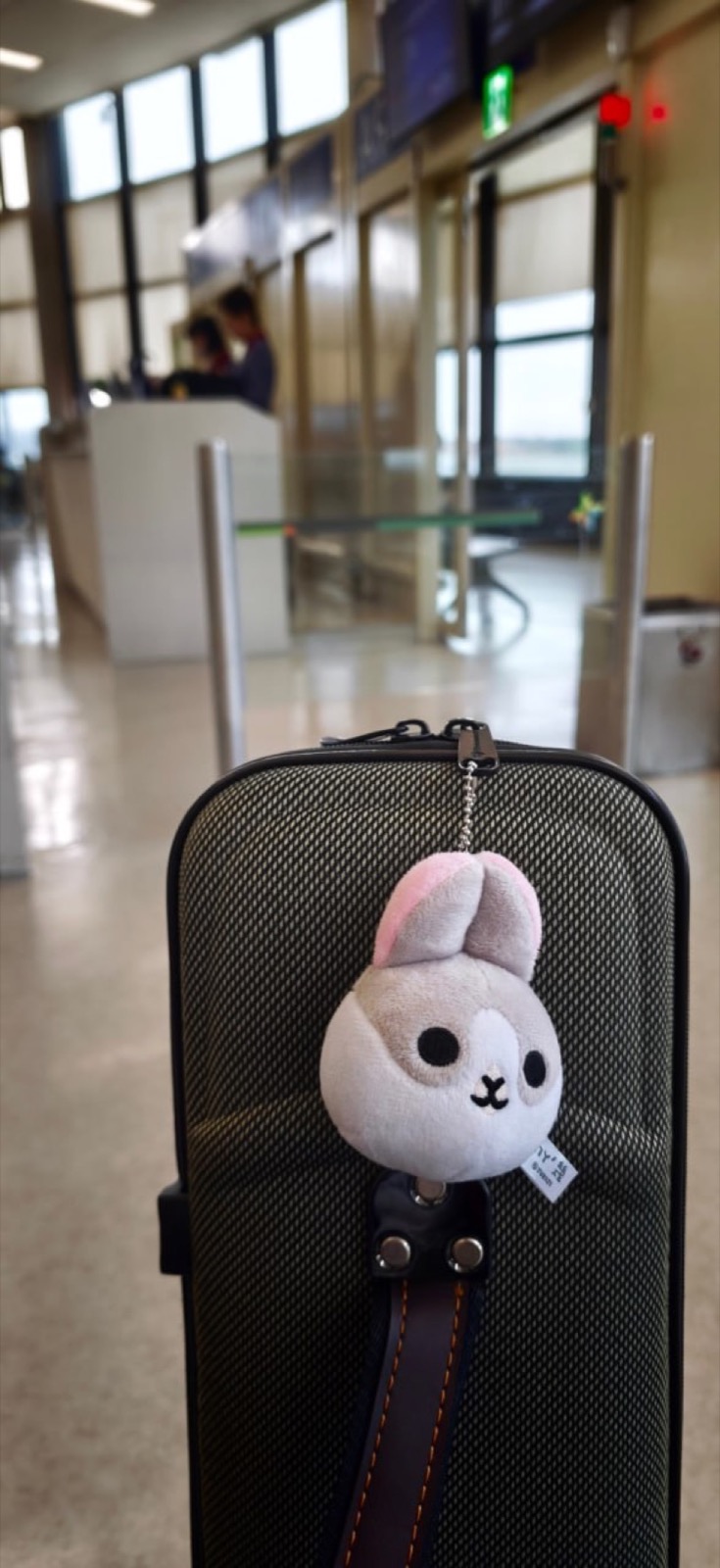 Erhu case at boarding gate