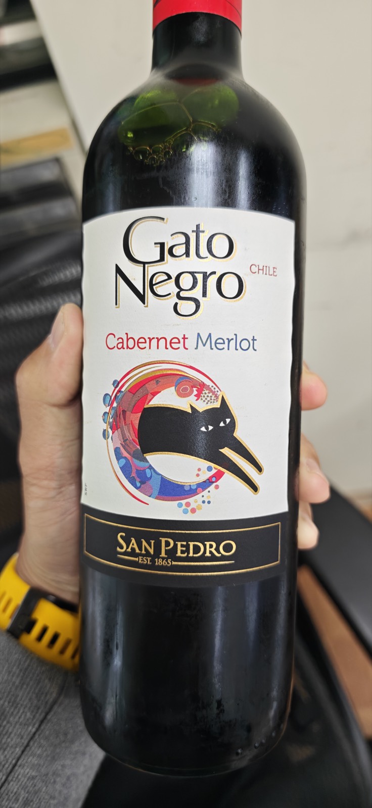 Gato Negro カベルネ・メルロー