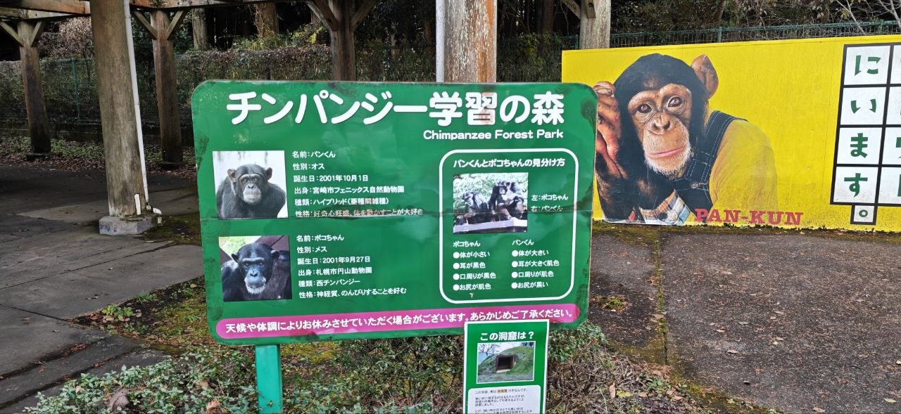 黑猩猩學習之森看板