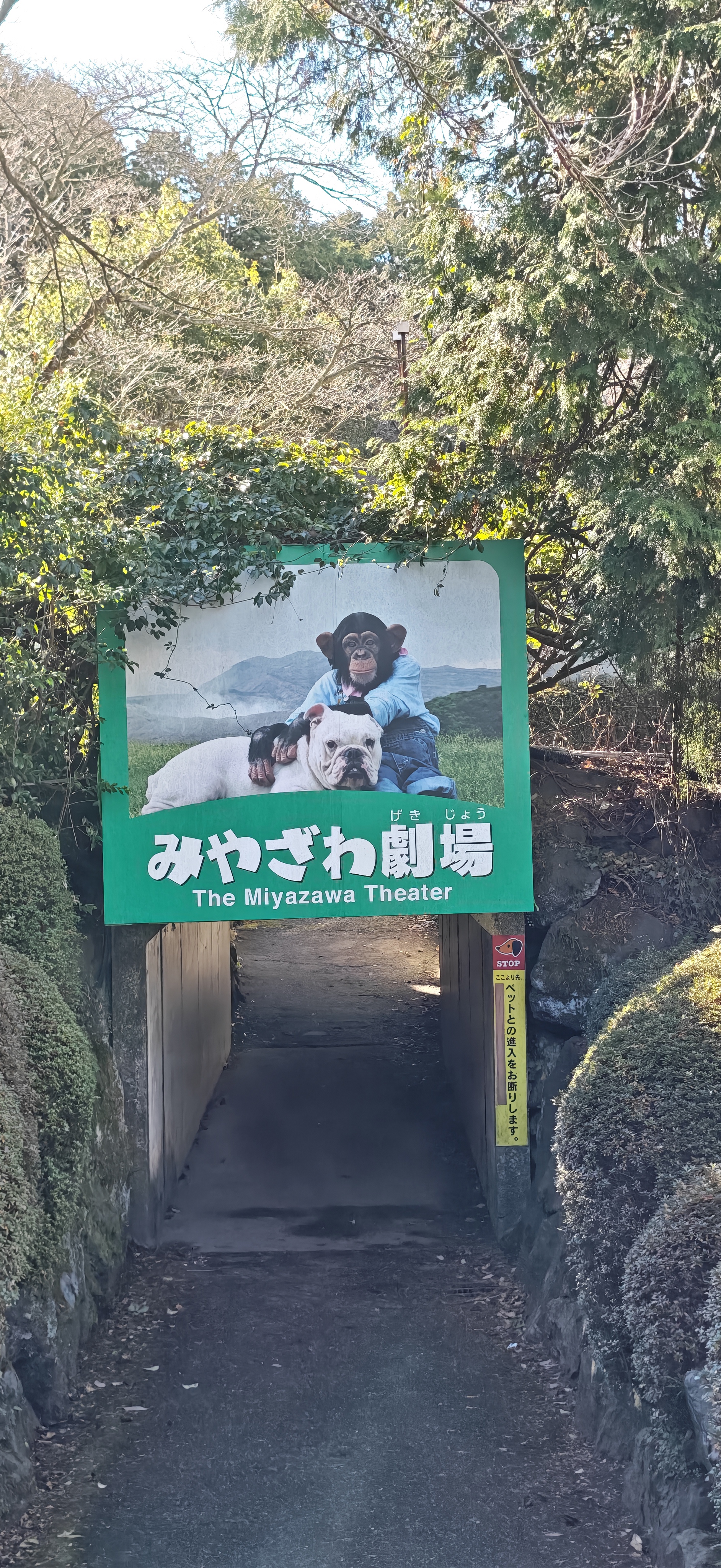 宮澤劇場入口