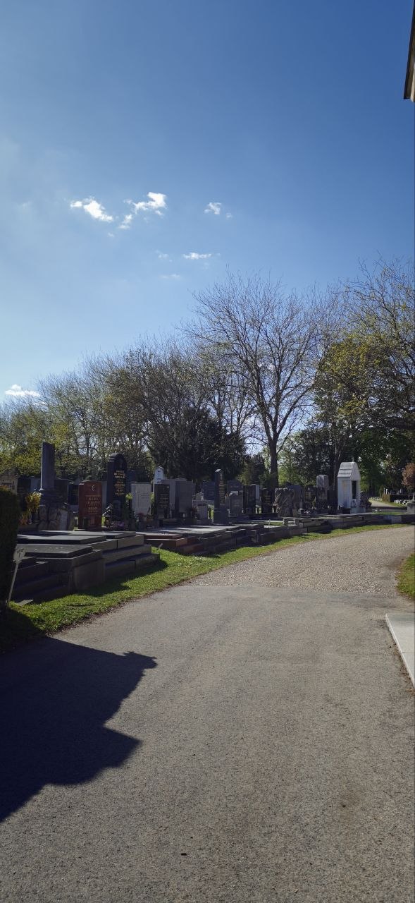 墓園小路