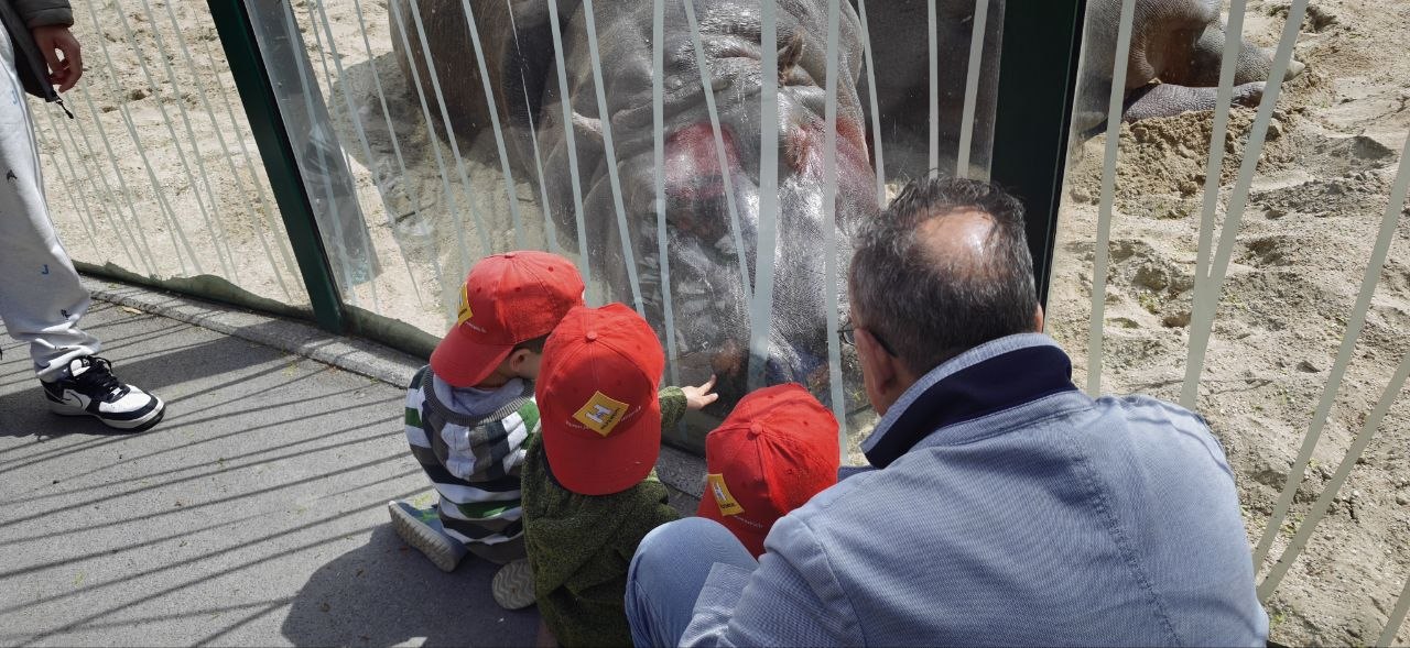 小朋友看動物