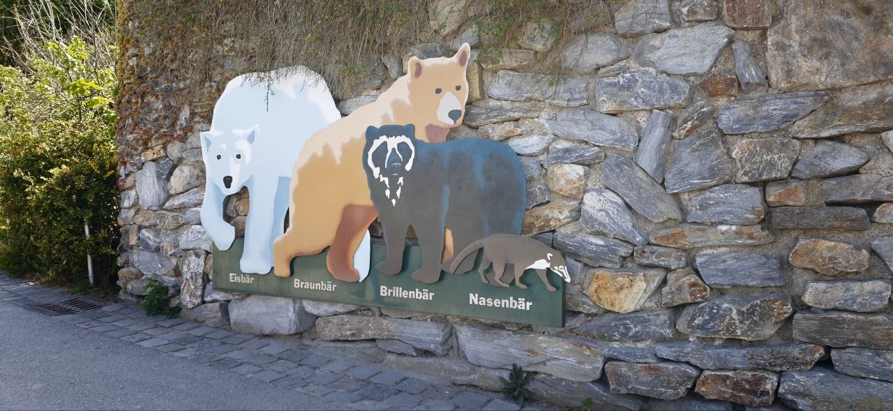 熊類比較看板